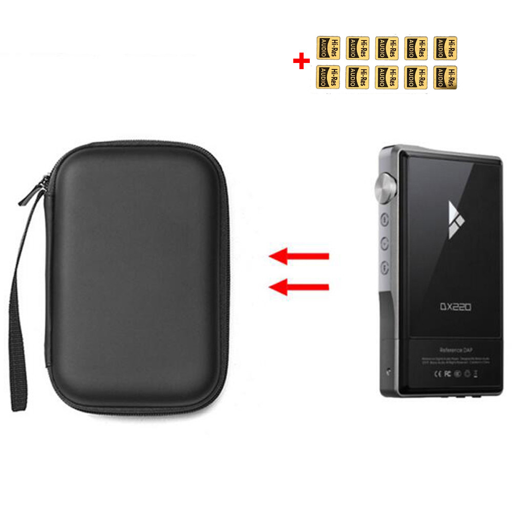 Protective Case For IBASSO DX220 DX120 DX160 DX150 and Hiby R6 R6 Pro Durable hard Carrying Case