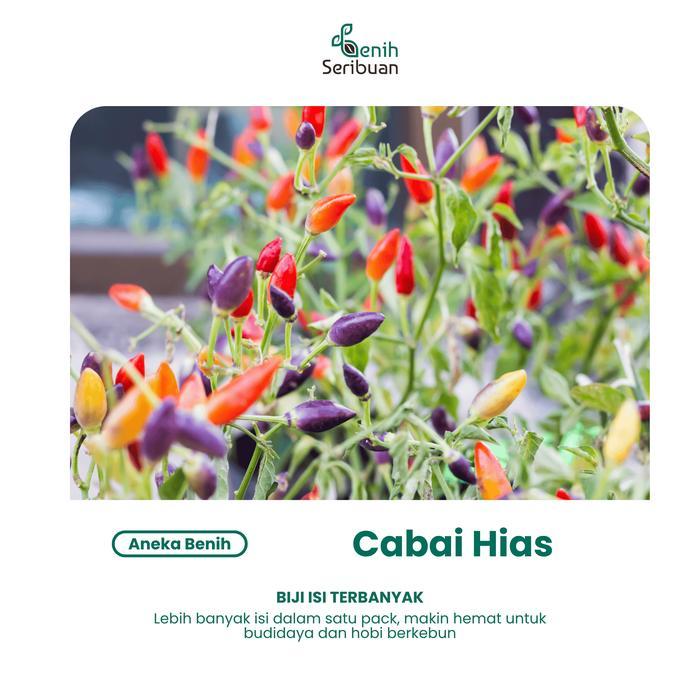 HEMAT Benih Cabe Hias Pelangi Benih Cabai Carolina Reaper Tanaman Sayur Hias