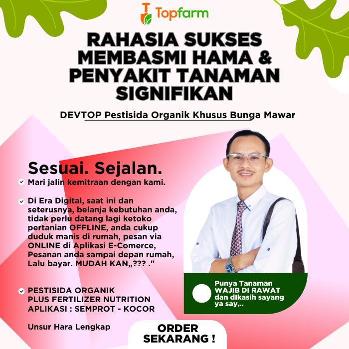 OBAT HAMA TANAMAN MAWAR / OBAT SEMPROT HAMA BUNGA HIAS / INSEKTISIDA KHUSUS TANAMAN HIAS / PESTISIDA