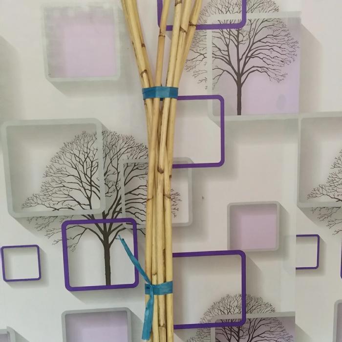 NEW PRODUK TALI ROTAN -STIK ROTAN KULIT GRADE AB PANJANG 5METER 12MM BULAT THANKYOU & HAPPY SHOPPING