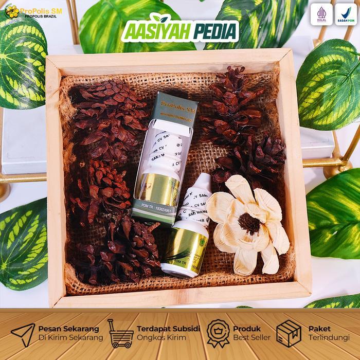 Propolis Sm Untuk Tetes Hidung Bau Hidung Mampet Sinus Polip Sinusitis Hidung Alergi Gatal Hidung