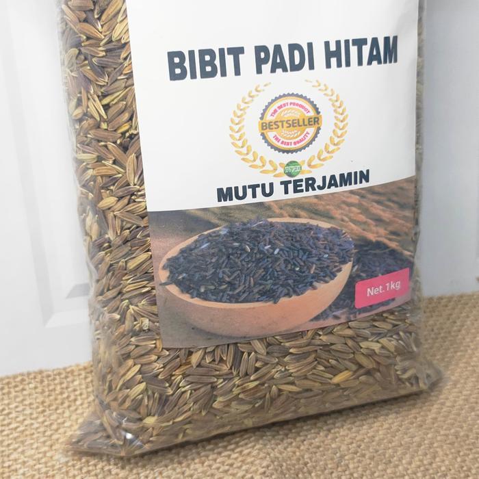 benih padi hitam unggul 1 kg