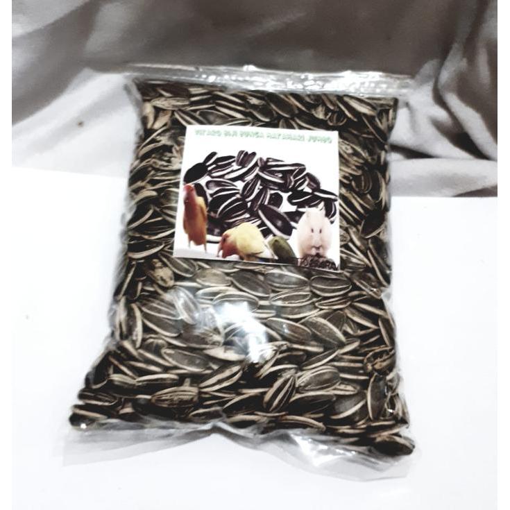 KUACI KWACI JUMBO 250GRAM BUNGA MATAHARI PAKAN UNTUK BURUNG PARROT