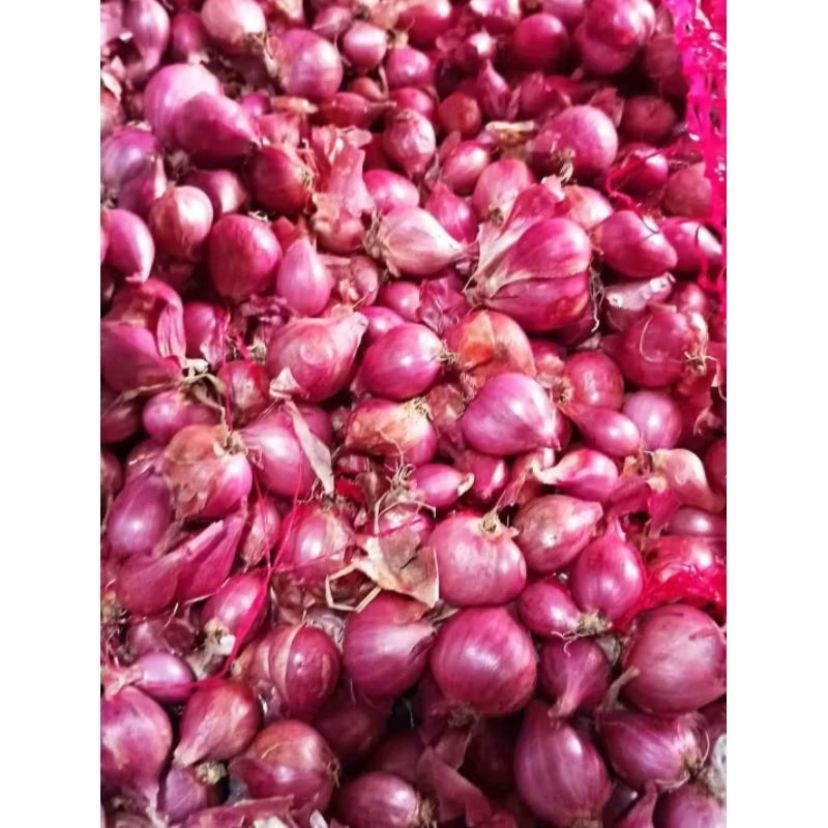 Bawang Merah Super  Fresh bawang Merah Super
