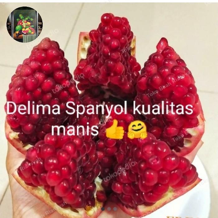 Terlaris Buah Delima Merah Spanyol Red Pomegranate -/+ 9 Kg