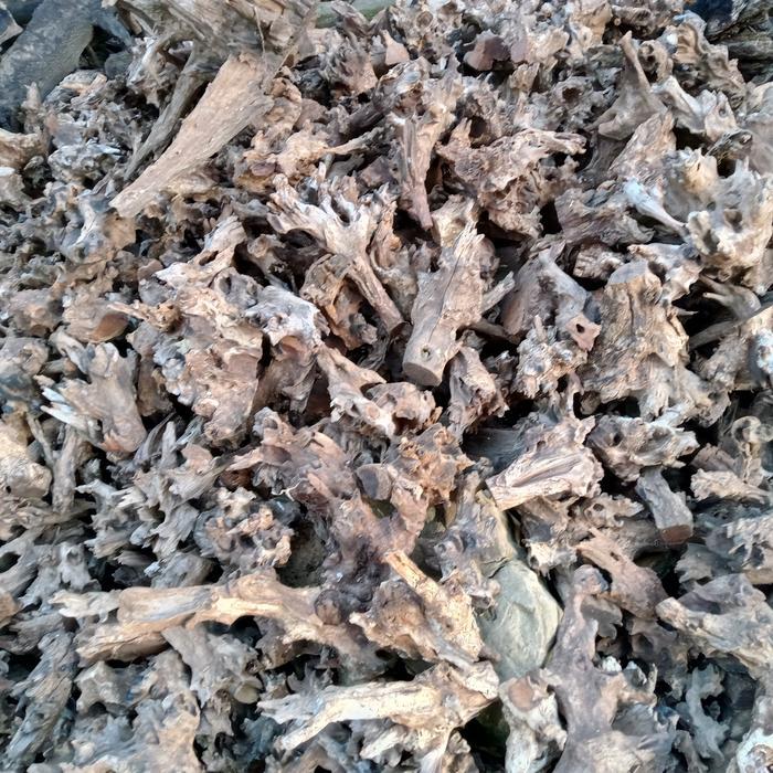 Ready Kayu Irian Aquascape Driftwood Size Xl