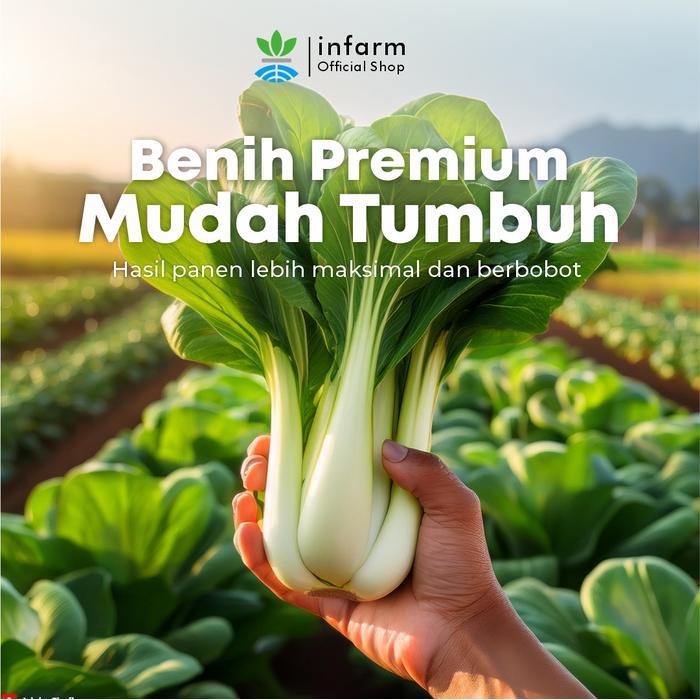 TERMURAH INFARM - Benih Buah Blewah Muskmelo, Bibit Super Buah Blewah Benih Unggul Buah Blewah Manis