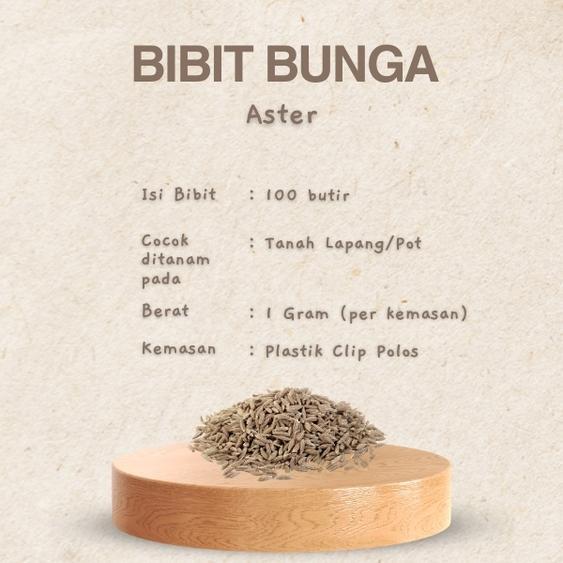 Benih Bibit Biji Bunga Cosmos Krisan Mesir Per 5gr 100 Biji/pack dan Bunga Krisan Delmatia/Bunga