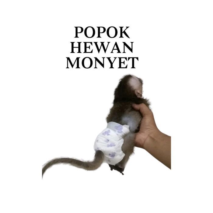 Popok Hewan Monyet Isi 10Pcs(Ada Lubang Ekor)