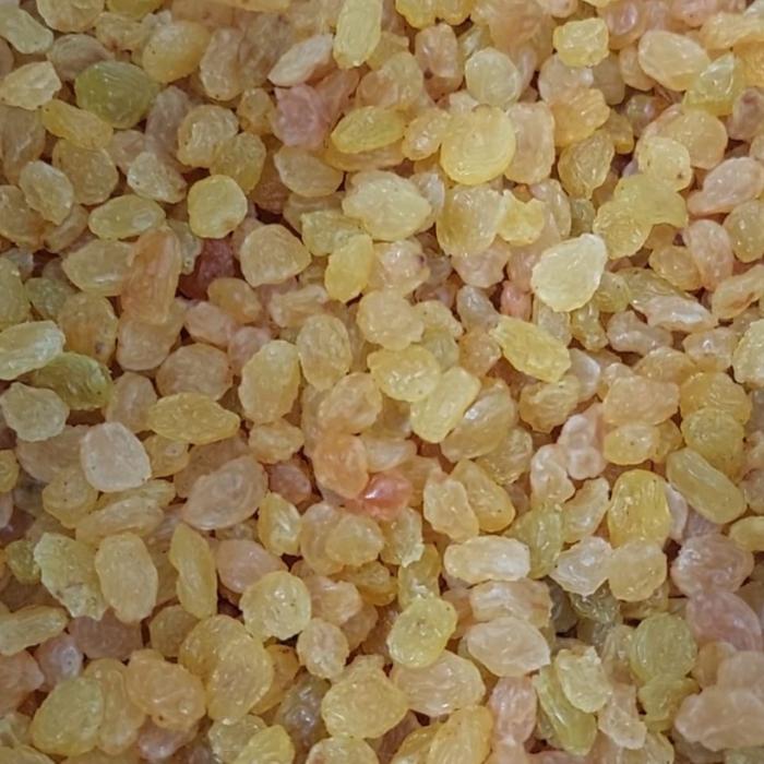 zahr- Kismis Golden Raisin 500Gram