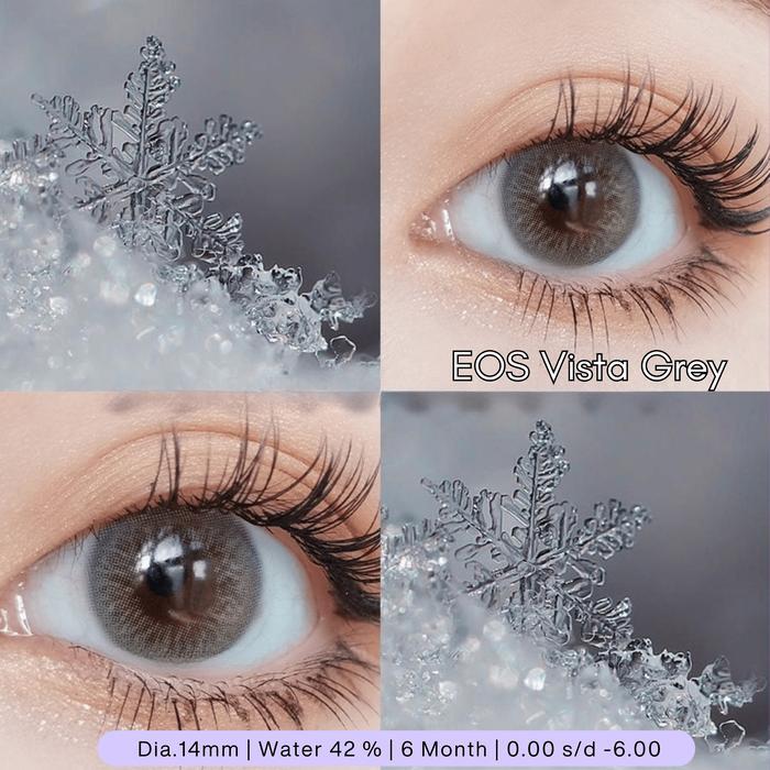 kv3g- Softlens Eos Vista Grey Normal Minus 0.5 S.D -10.00 Dia.14.2Mm Softlens Korea Brown