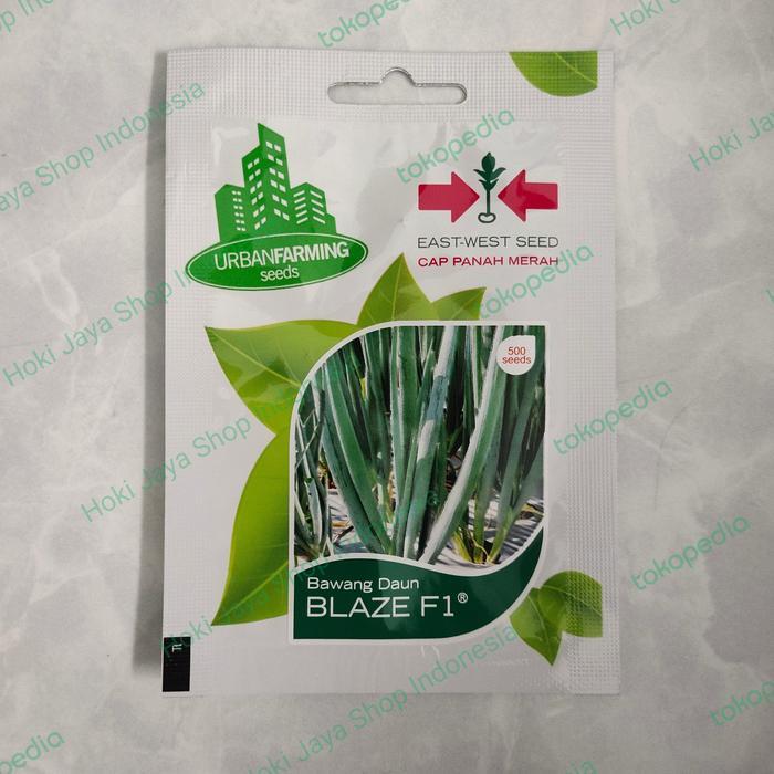 ~~~] Benih Bawang Daun Blaze F1 Cap Panah Merah PT East West 500 Seeds