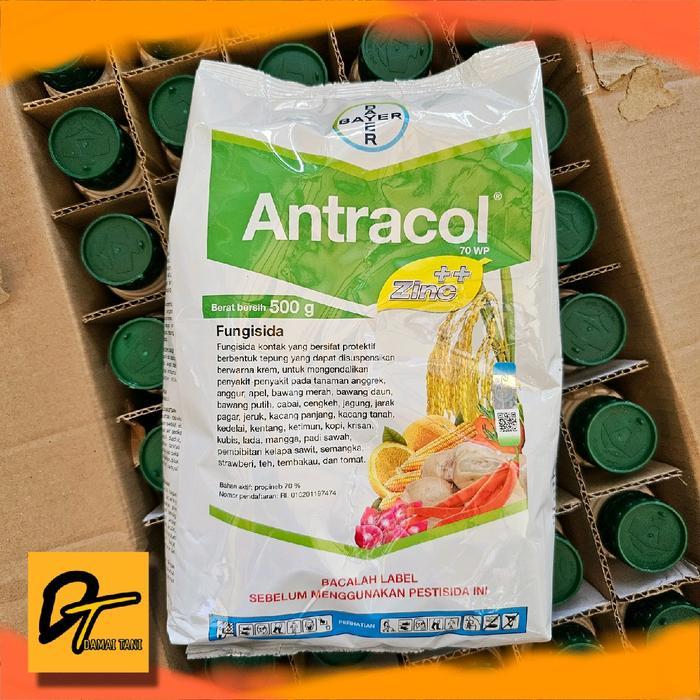 Fungisida Antracol 500gr utk jamur tanaman pertanian perkebunan Tomat