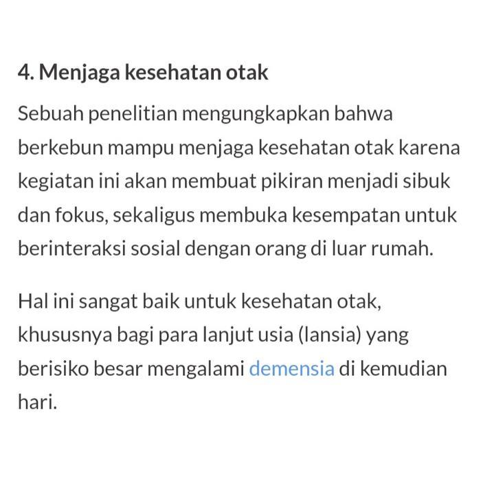 Gardening Mikha Benih Daun Bawang Prei Tokita Repack Isi 200 Butir Bibit Premium