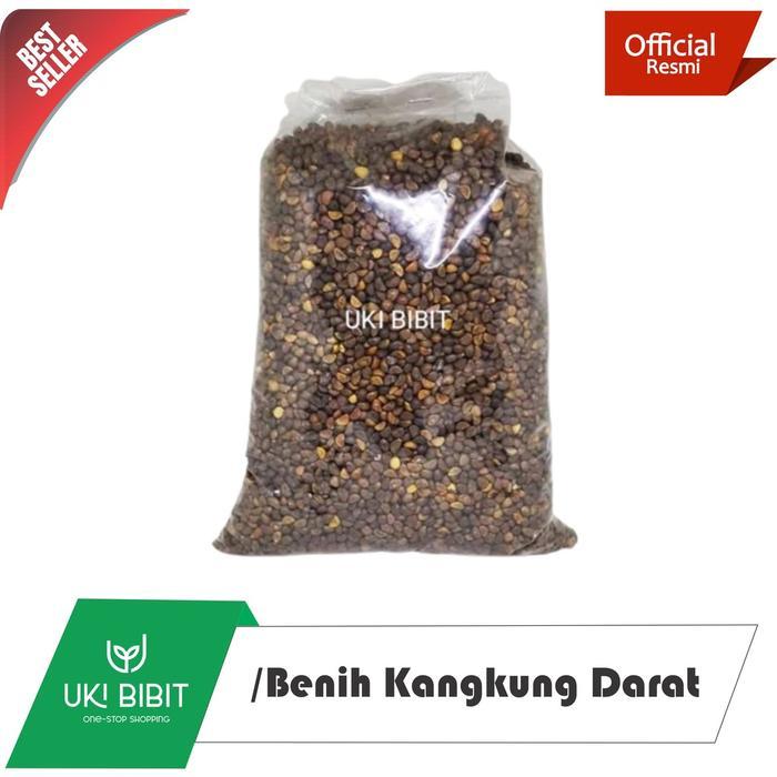 Gardening Mikha ( 250 Gram ) Benih Biji Kangkung Darat Kangkung Cabut Curah Microgreens
