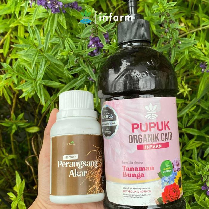 Digazsin_ Infarm - Paket Pupuk Anggrek Pupuk Organik Cair Pupuk Bunga Anggrek Pupuk Bunga Anggrek