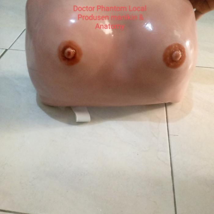 phantom breastcare / phantom payudara ibu menyusui/Manikin payudara ibu menyusui