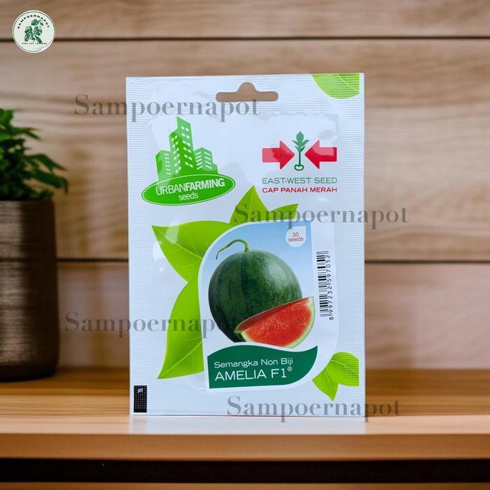 Mantabetul Benih Bibit Semangka Merah Non Biji Amelia F1 Cap Panah Merah - Semangka Amelia F1 East