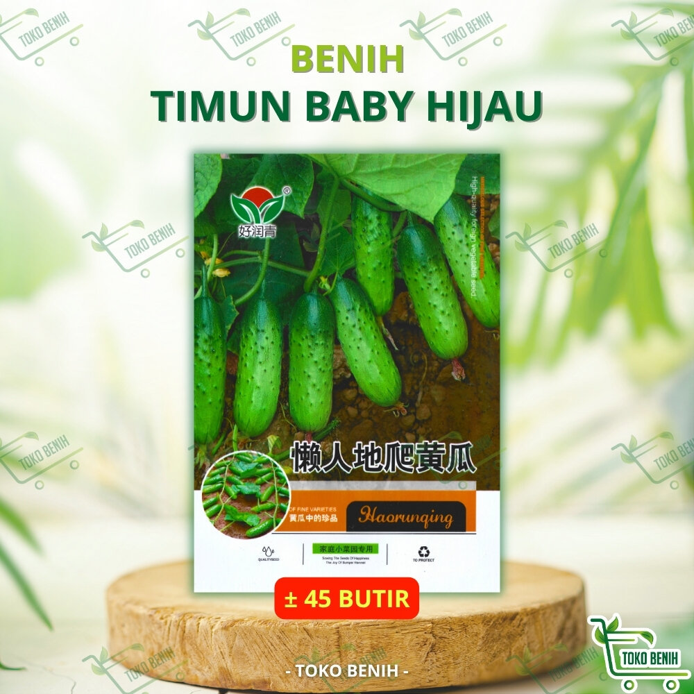 ± 45 BUTIR BENIH IMPORT TIMUN BABY HIJAU KEMASAN PABRIK
