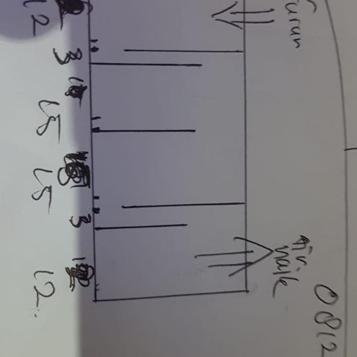 CUSTOM AQUARIUM SUMP FILTER DAN AQUARIUM CUPANG DIBOR TENGAH kaca 5 mi