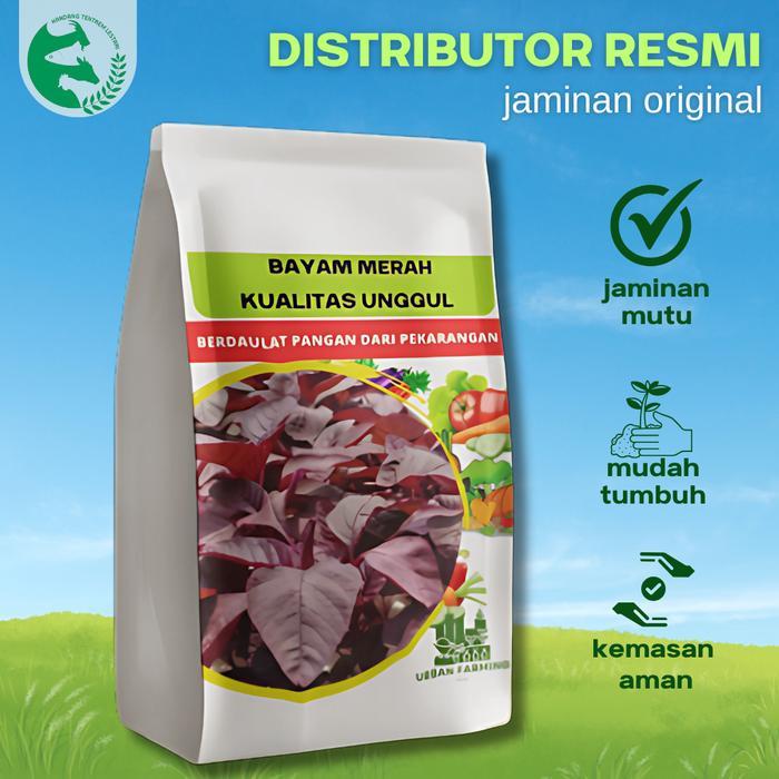 Thejaguar1 Benih Bayam Merah 1 Kg Urban Farming Premium Unggul Nutrisi Tinggi Bisa Cabut & Potong