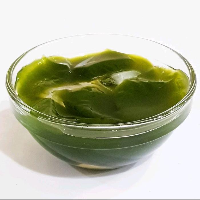 Mantabetul Bibit Tanaman Cincau Hijau/ Tanaman Herbal Cincau Hijau