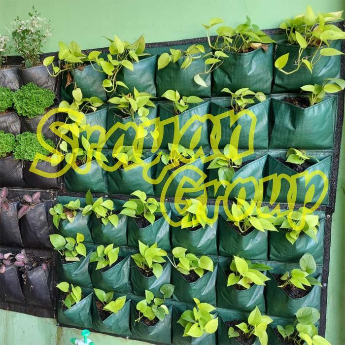 Mrono_Mrene Wall Planter Bag Hijau Isi 15 Kantong Planter Bag Dinding