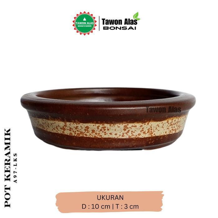 Thejaguar1 Pot Bonsai Keramik Mame Bulat Ceper