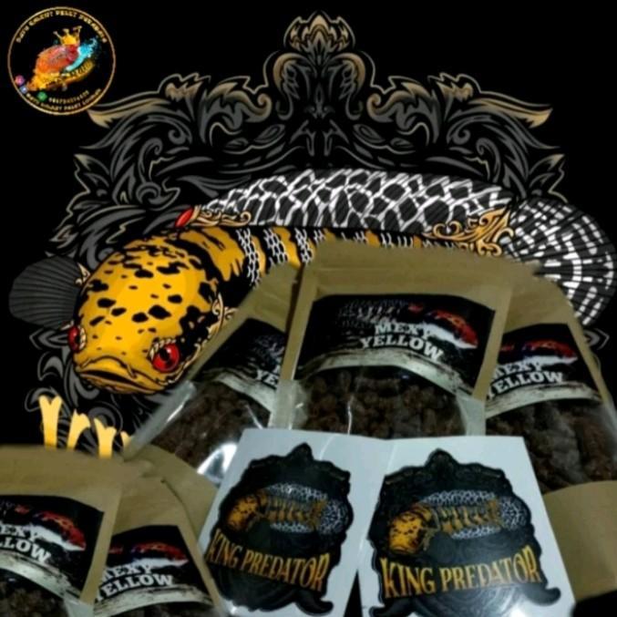 SALE Pelet MEXY YELLOW (Spesialis Pelet Channa Maru Marulioides varian Red & Yellow) Termurah