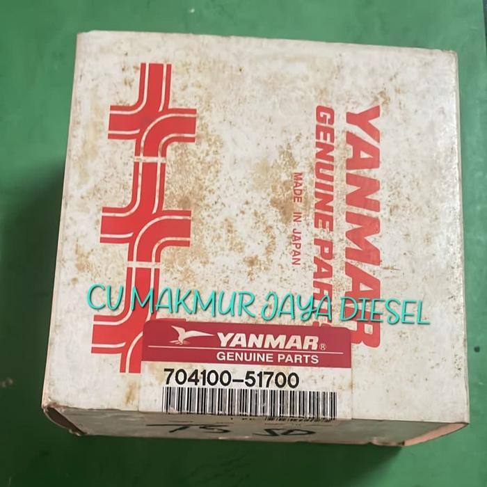 Fuel Injection Pump/Bospom TS50 704100-51700 Yanmar