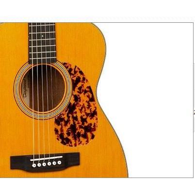 Gitar Akustik Elektrik Tanglewood Tw40 Varian Warna Original