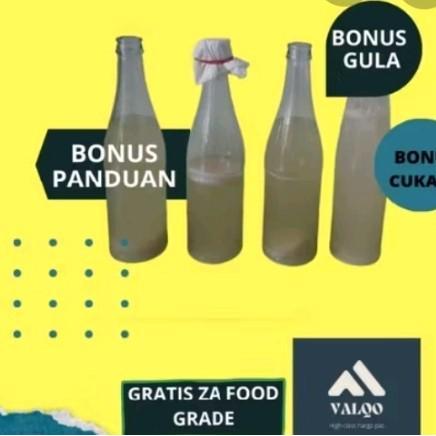 Mantabetul Starter Nata De Coco Bibit Nata De Pina Nata De Soya Aloe Vera