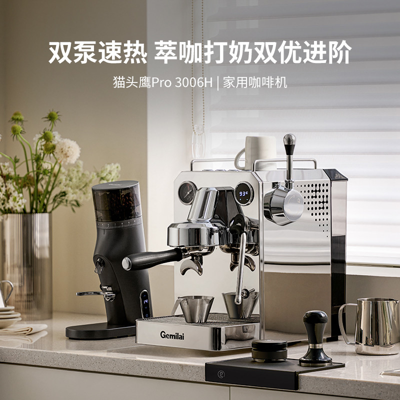 Gemilai Pro 3006H Owl Small Household Semi-Automatic Espresso Machine