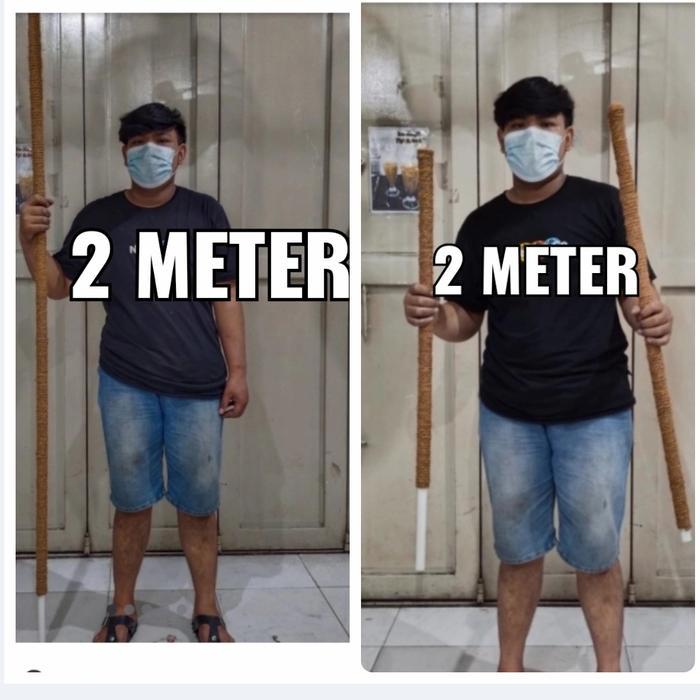 New turus tanaman panjang 2 meter, 1,5 meter, penyangga tanaman merambat