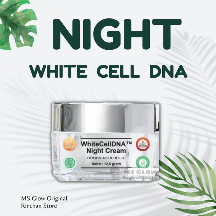 Discount - White Cell DNA Night Cream MS Glow Krim Malam White Cell DNA MS Glow