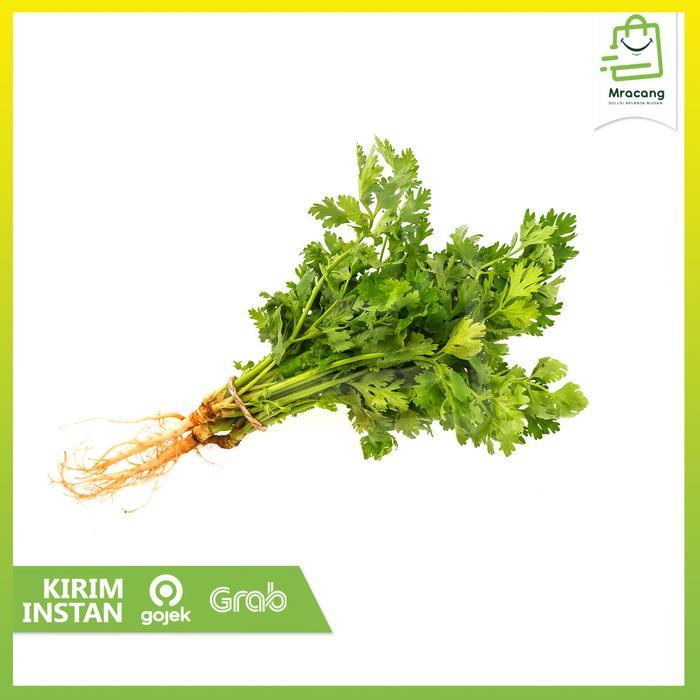 New Daun Ketumbar Segar 100gr Fresh Coriander Leaves