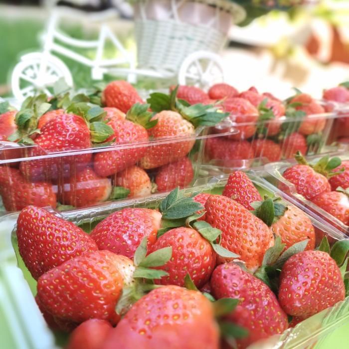 (DUS) TRAY MIKA BUAH STROBERI CERI CIPLUKAN 250 GRAM KUNCIAN TEBAL