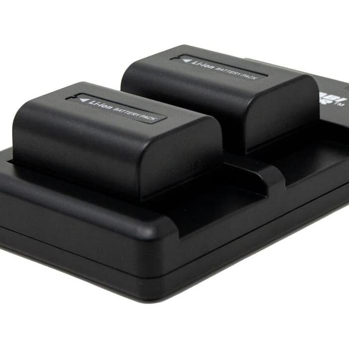 WASABI POWER Battery & Charger for SONY NP-FV50 NP-FV40 NP-FV30 NPFV50 NPFV40 NPFV30 NP FV50 FV40