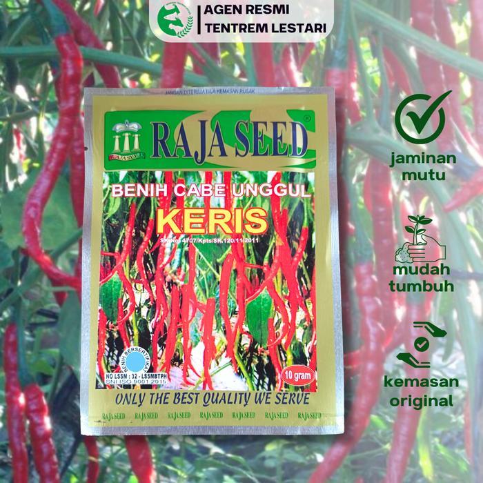 Thejaguar1 Benih Cabe Keriting Keris 10 Gram Cap Raja Seed Lebat & Unggul