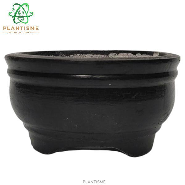 Gardening Mikha Pot Bonsai Orbs Pot Tanaman Bulat Bola Semen Concrete Planter Natural Untuk Tanaman