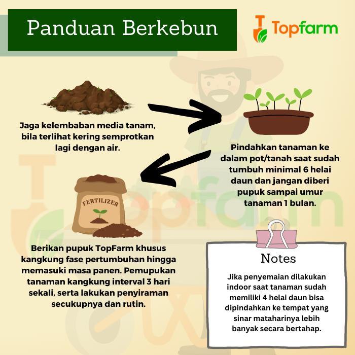 Chantelna_ Benih Daun Bawang Premium - Bibit Daun Bawang / Benih Tanaman Daun Bawang / Biji Daun