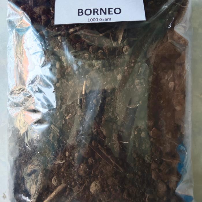populer] Humus Hutan Hujan Tropis Borneo Kemasan 1000 Gram