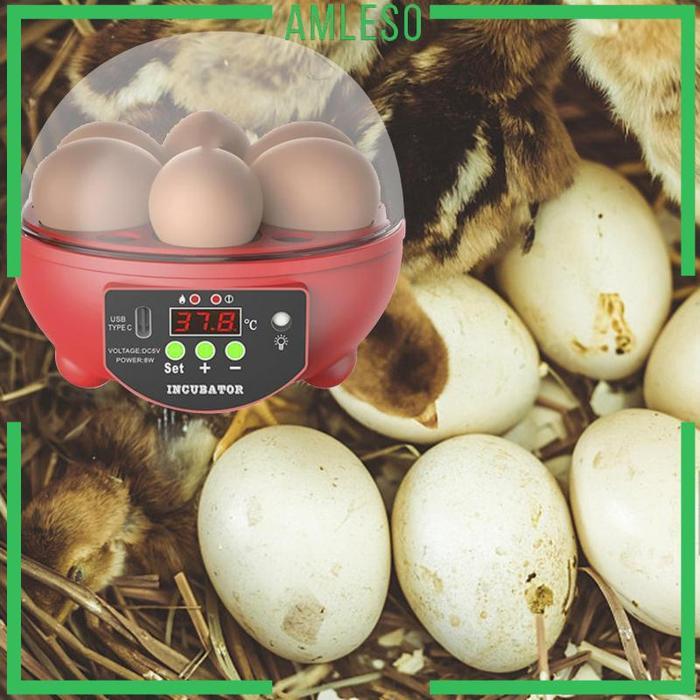 Inkubator Penetasan Telur Otomatis Dengan Usb Isi 6 Untuk Burung Angsa