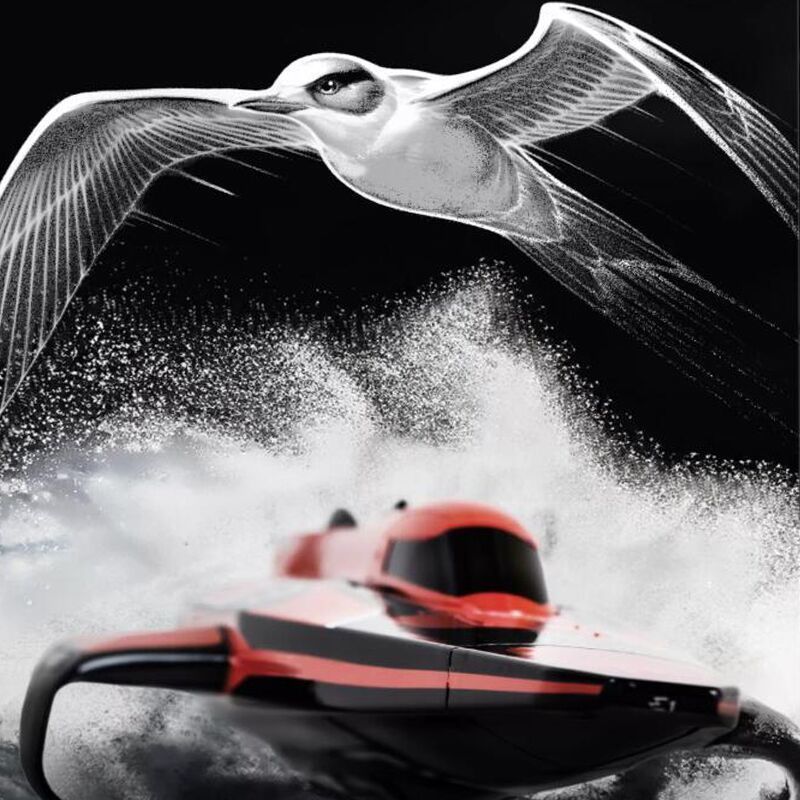 Electric Rc Boat E1 Racebird Remote Controlled Hovercraft Water Winged Model Birthday Gift Outboard