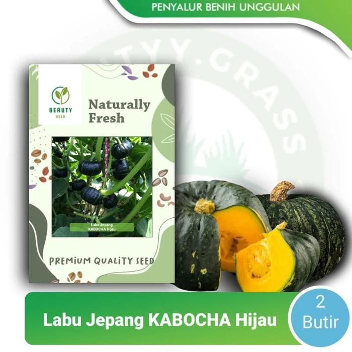 Thejaguar1 Benih Biji Bibit Labu Jepang Kabocha Hijau - Labu Kabocha Jepang