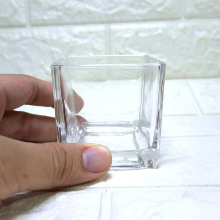gdyd- Vas Bunga Kotak / Vas Tanaman Air / Vas Aesthetic / Vas Kaca Bening / Vas Persegi /