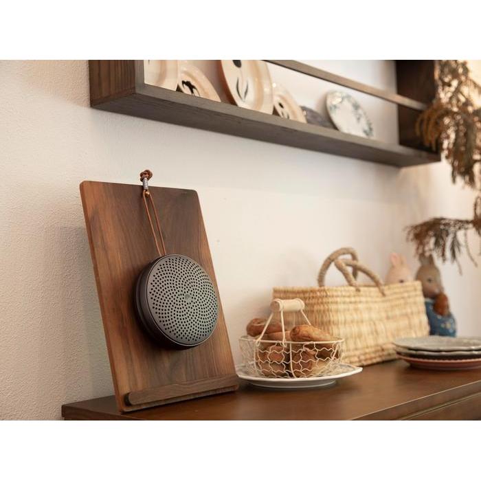 Hivi Swan E1 Portable Speaker Support Tws Bluetooth 5.3 New