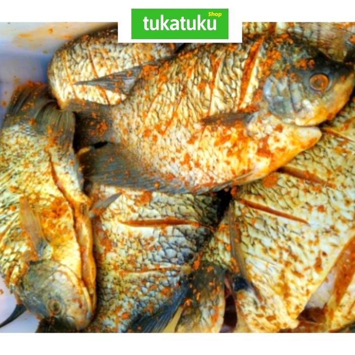 zahr- Ikan Gurame Bumbu Kuning (500 Gram) Siap Goreng / Bakar / Pepes