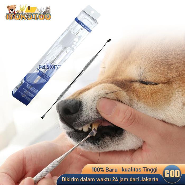 Alat Pembersih Karang Gigi Hewan Anjing Kucing Stainless
