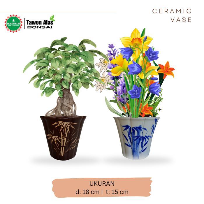 Mrono_Mrene Pot Keramik Bonsai Bunga Kaktus Sukulen Ukuran L